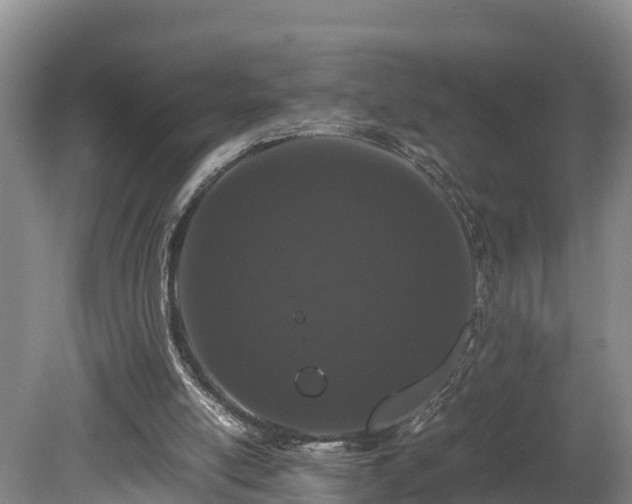 X0000080730054200612221303