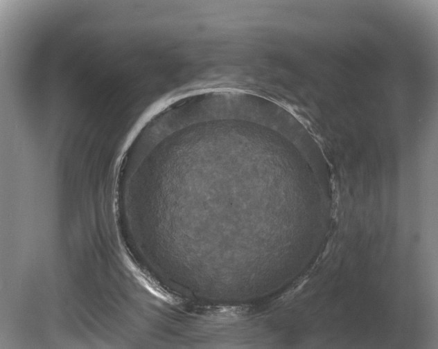 X0000080730056200612221303