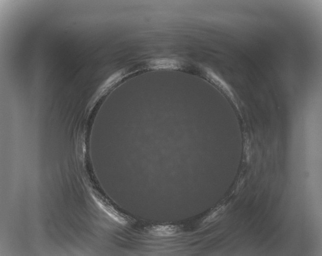 X0000080730059200612221303