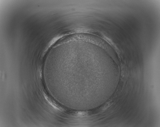 X0000080730060200612221303