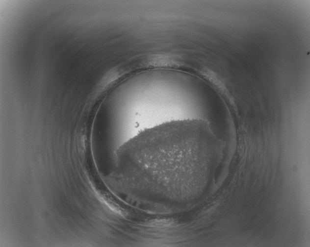 X0000080730063200612221303