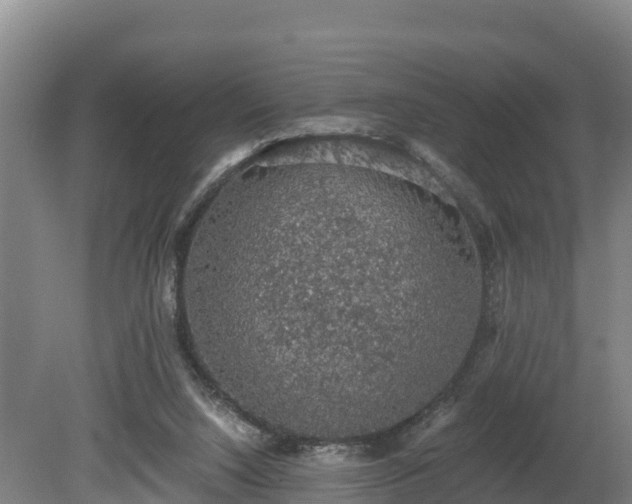 X0000080730064200612221303