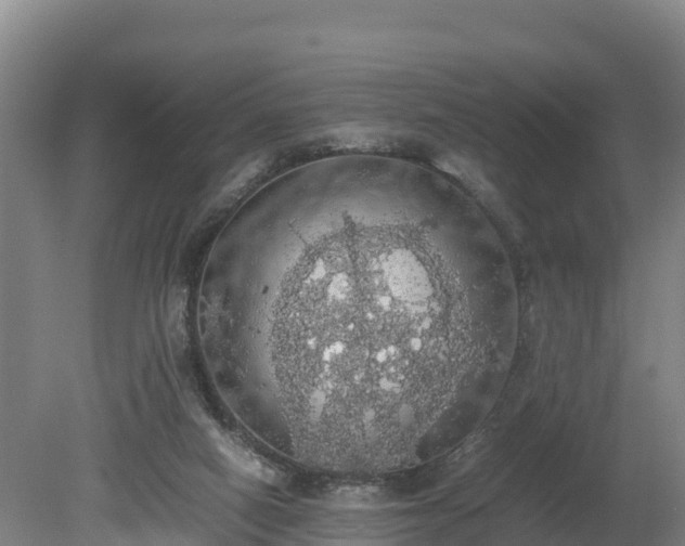 X0000080730066200612221303