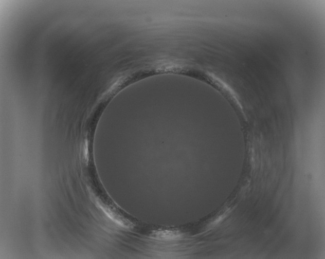 X0000080730067200612221303