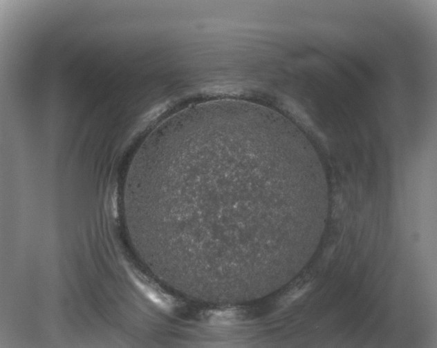 X0000080730068200612221303