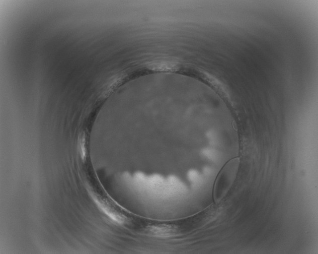 X0000080730069200612221304