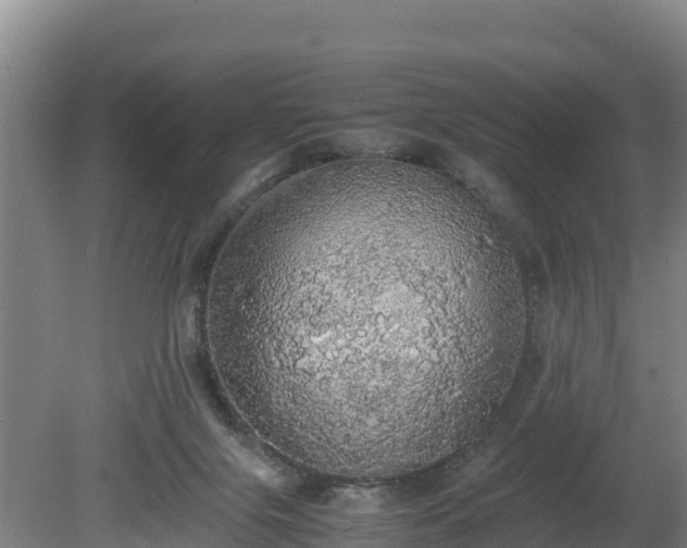 X0000080730071200612221304