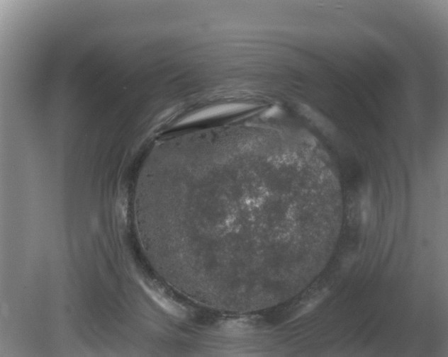 X0000080730072200612221304