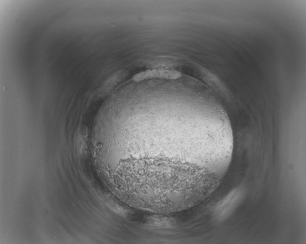 X0000080730073200612221304