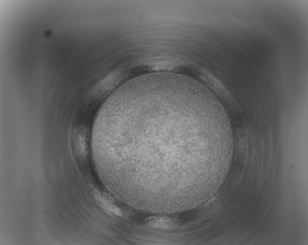 X0000080730074200612221304