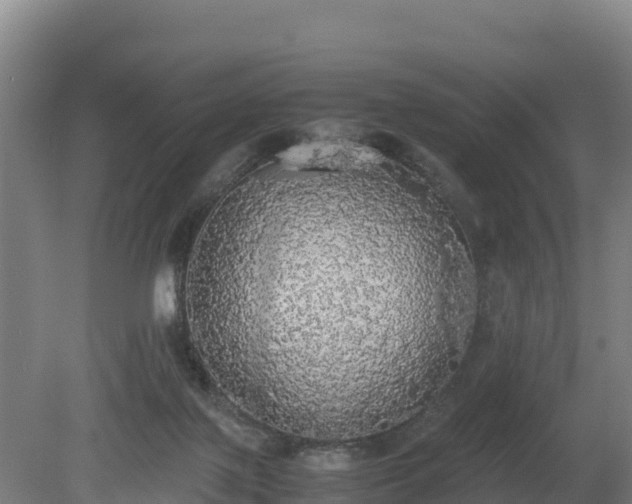 X0000080730075200612221304