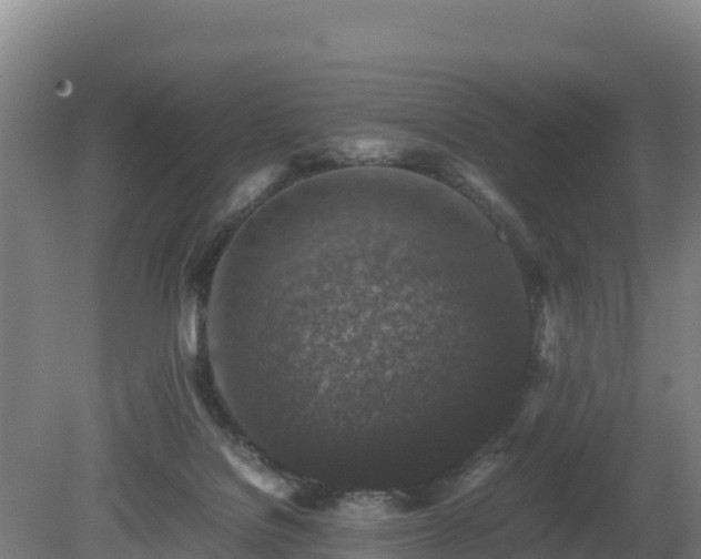 X0000080730076200612221304