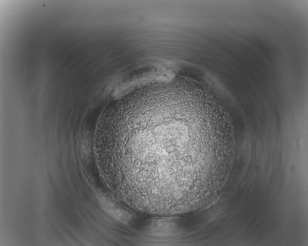 X0000080730078200612221304