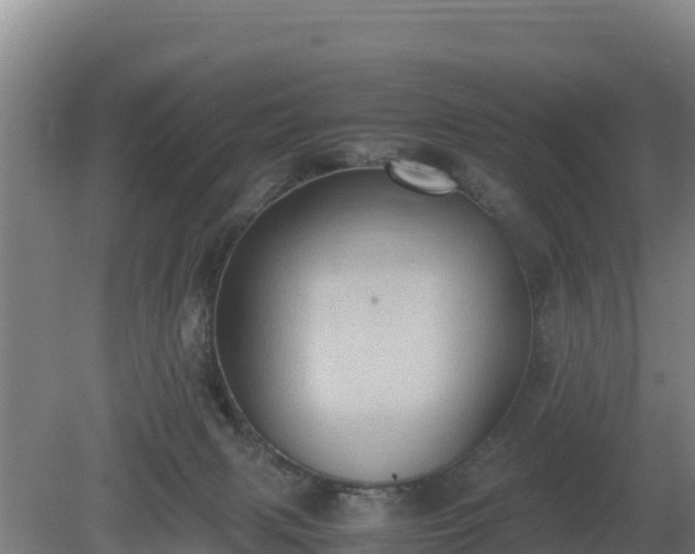 X0000080730079200612221304