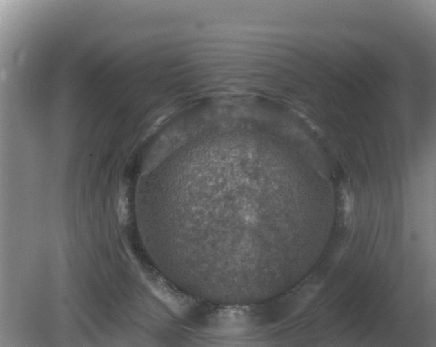 X0000080730080200612221304