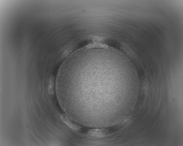 X0000080730082200612221304