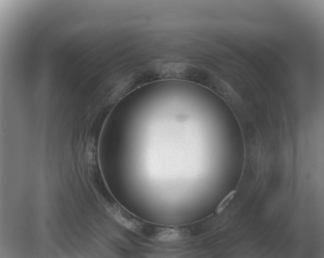 X0000080730083200612221304