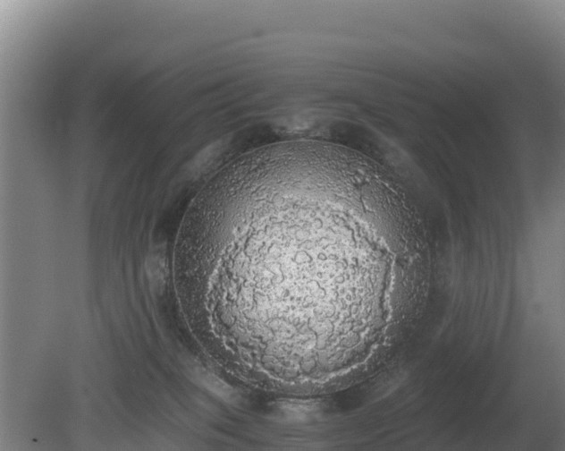 X0000080730085200612221304