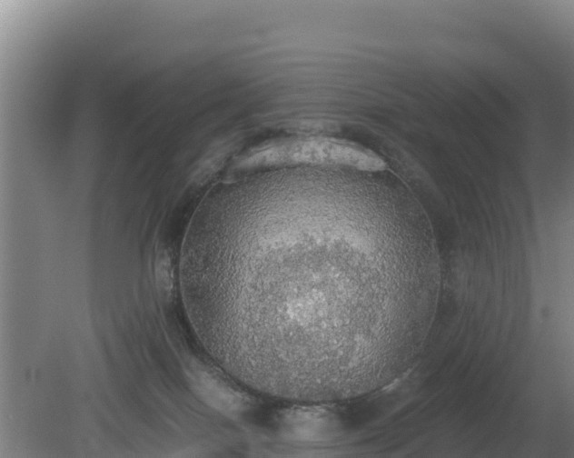 X0000080730086200612221304