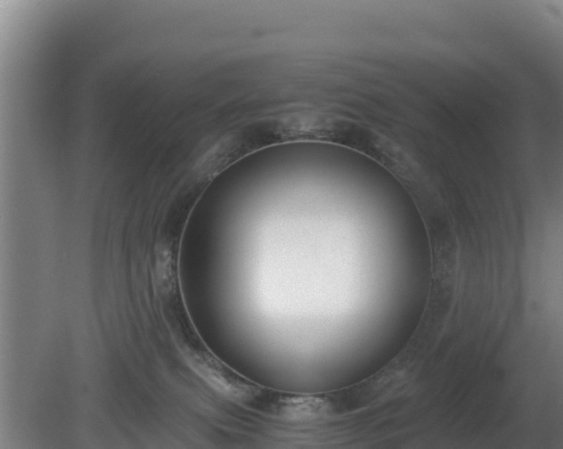 X0000080730087200612221304