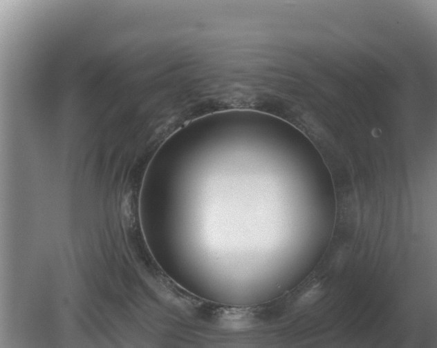 X0000080730088200612221304