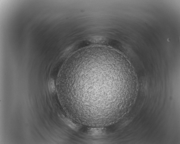 X0000080730089200612221304