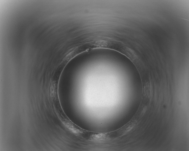 X0000080730092200612221304