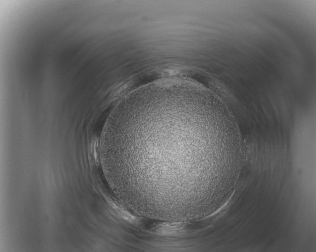 X0000080730094200612221304