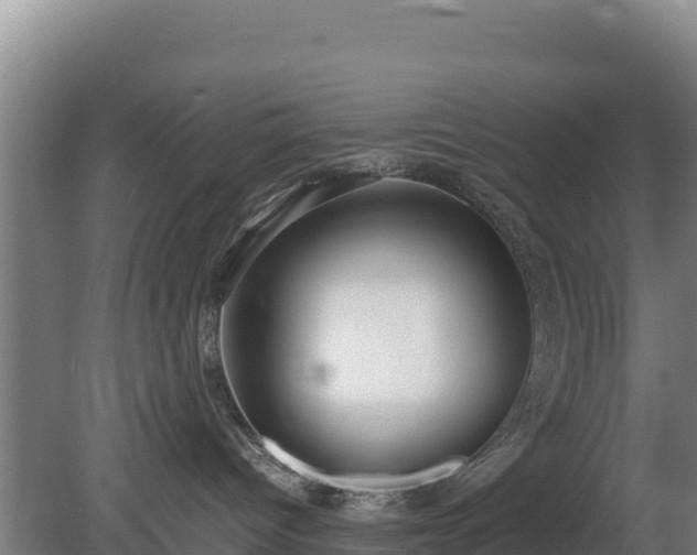 X0000080730096200612221304