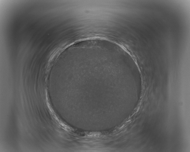 X0000080730097200612221303