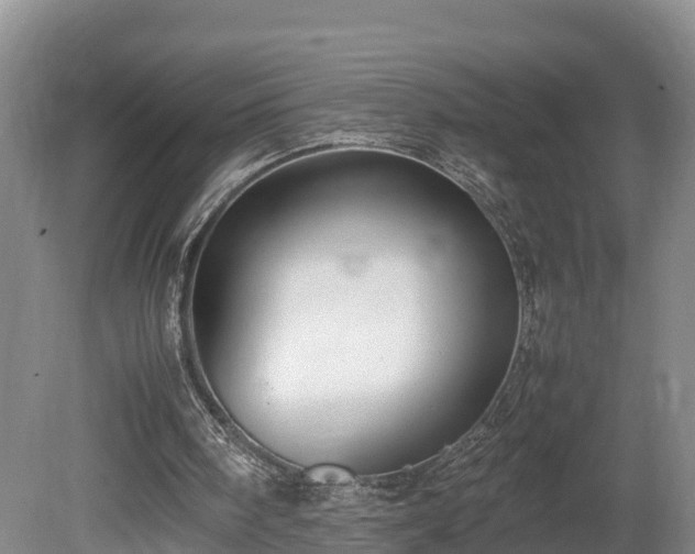 X0000080730098200612221303