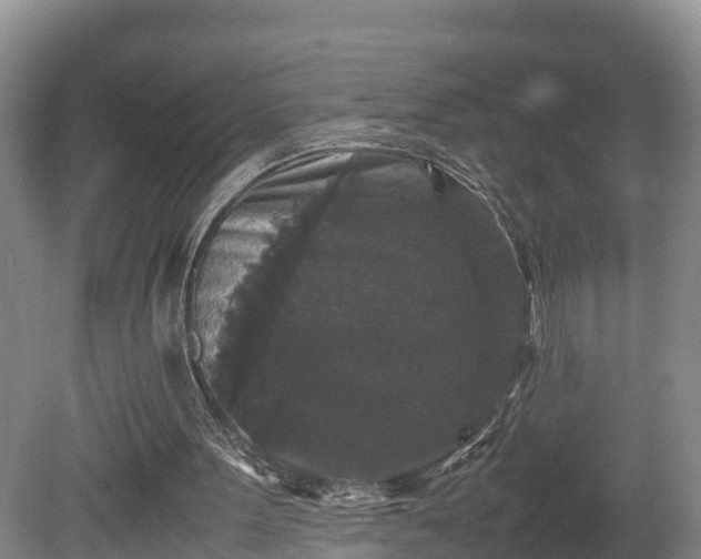 X0000080730099200612221303