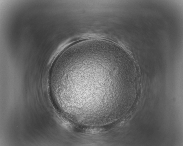 X0000080730103200612221303