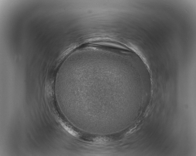 X0000080730105200612221303