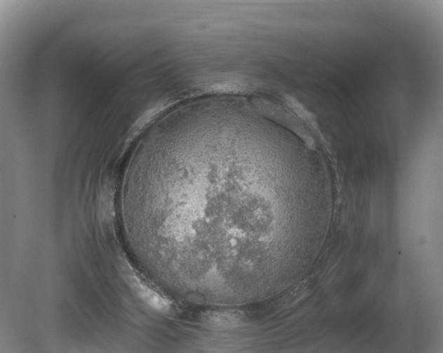 X0000080730106200612221303