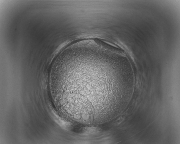 X0000080730107200612221303