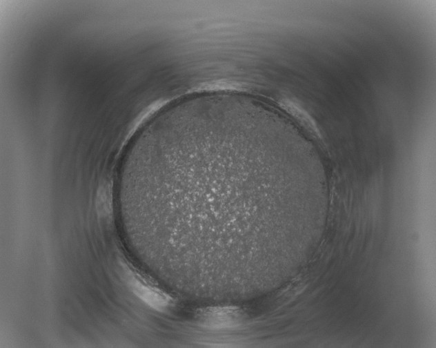 X0000080730108200612221303