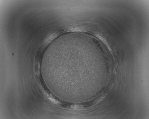 X0000080730109200612221303