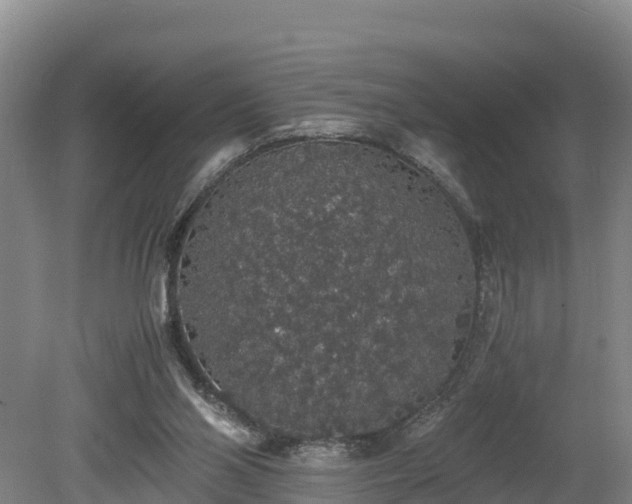 X0000080730110200612221303