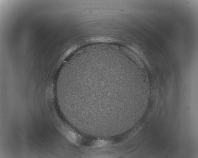 X0000080730111200612221303