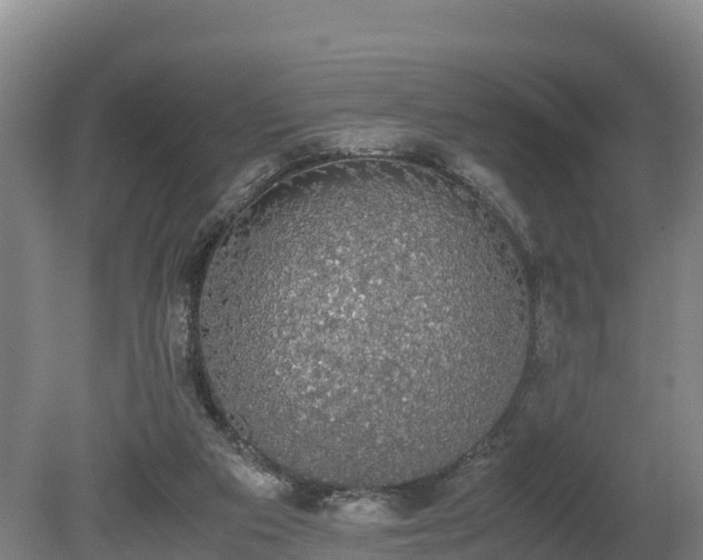 X0000080730113200612221303