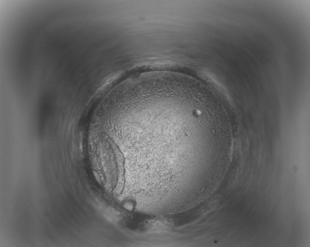 X0000080730115200612221303