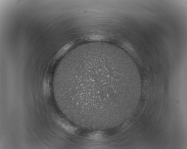 X0000080730116200612221303