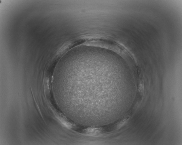 X0000080730117200612221303