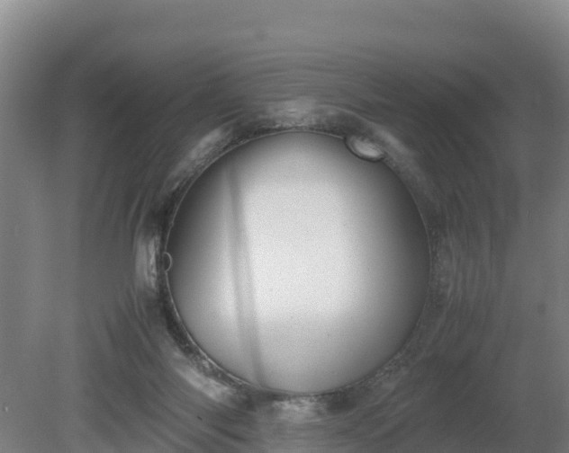 X0000080730118200612221303