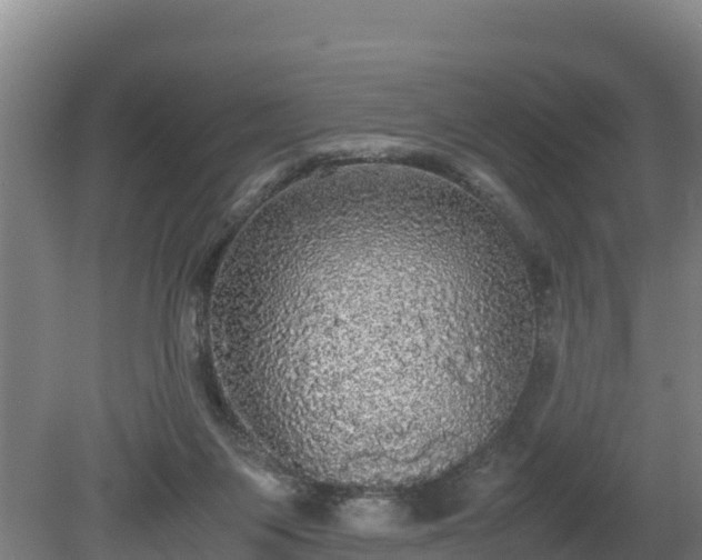 X0000080730119200612221303