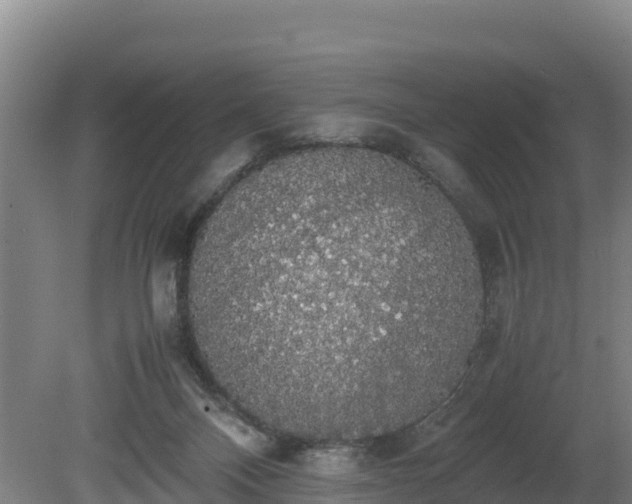 X0000080730120200612221303