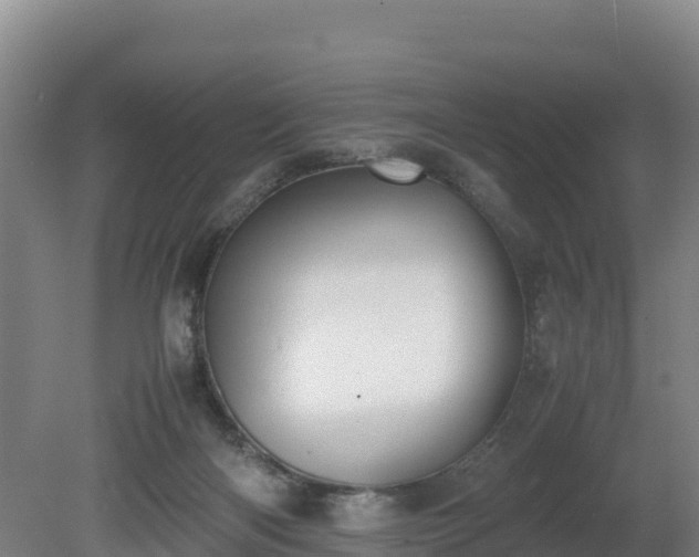 X0000080730122200612221303