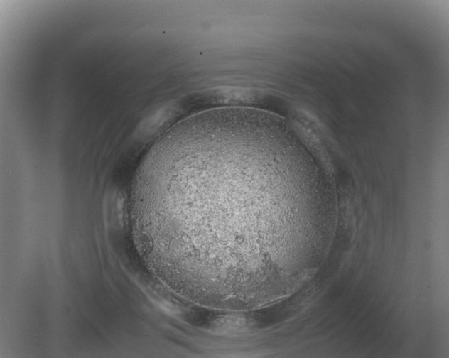 X0000080730123200612221303