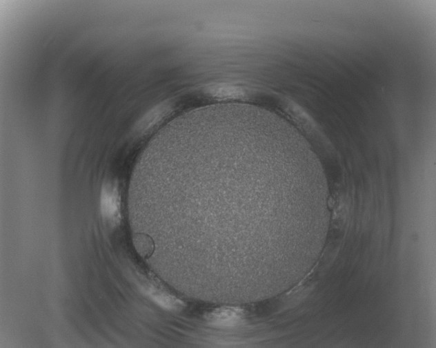 X0000080730124200612221303